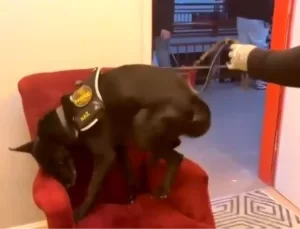 Erzincan’da Uyuşturucu Operasyonu