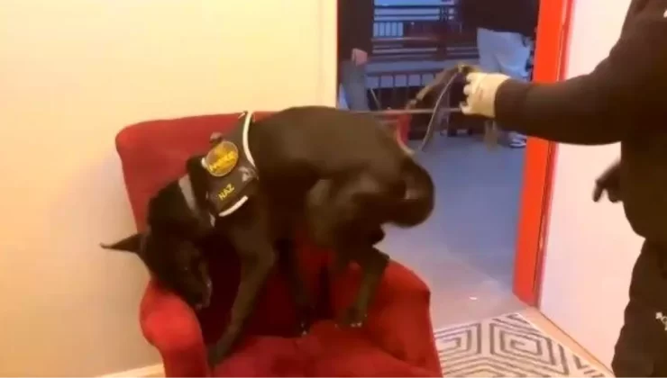 Erzincan’da Uyuşturucu Operasyonu