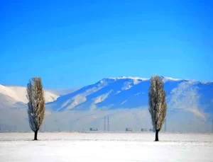Erzurum’da En Düşük Sıcaklık -30.8°C