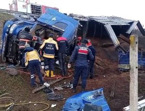 Freni boşalan TIR şarampole uçtu