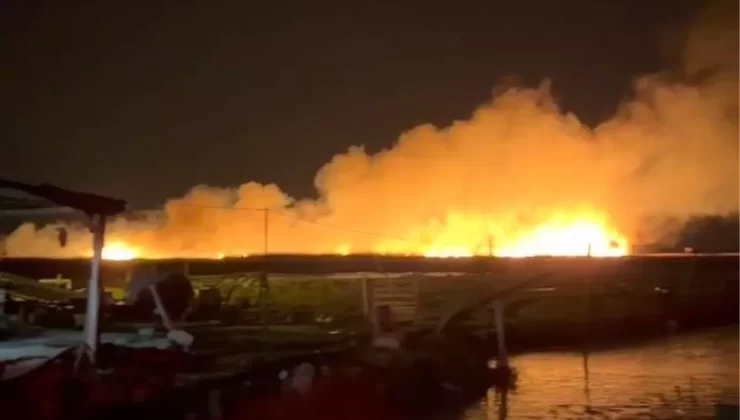 Göksu Deltası’nda Yangın