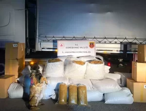 Gümüşhane’de 644 kg Kaçak Tütün Ele Geçirildi