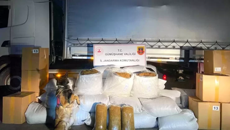 Gümüşhane’de 644 kg Kaçak Tütün Ele Geçirildi