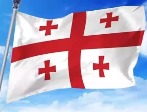 Gürcistan’da Muhalefetin Milletvekilliği Düşürüldü