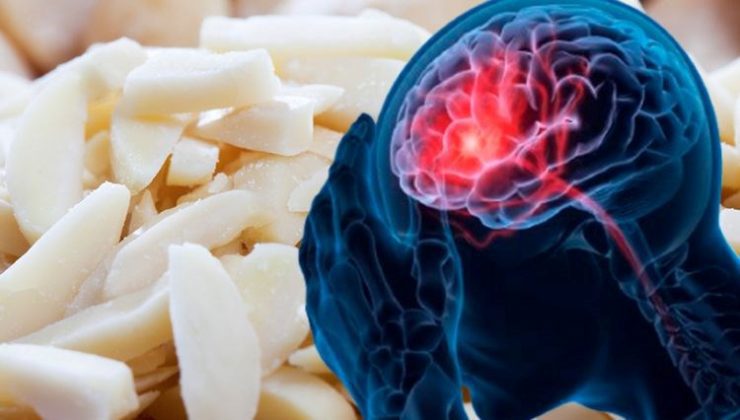 Hafızayı geliştirmede işe yarayan 3 besin: Beyni düzgünleştirip, Alzheimer riskini azaltıyor