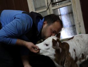 Hayvan sevgisi mesleğe dönüştü: 14 yaşında başladı, tek başına ilgileniyor