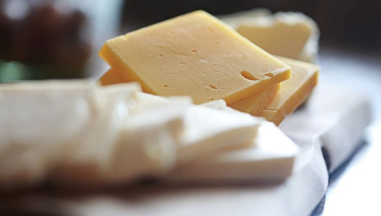 Hayvan sütü olmadan peynir üretildi: Tıpkı tada sahip, gaye 2028’de seri üretim!