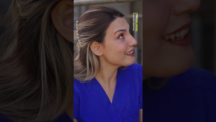 Hayvanlarda fıtık tedavisi