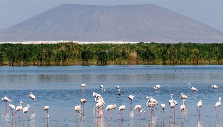 İbrahim Yumaklı: Türkiye’de 131 sulak alan müdafaa altında