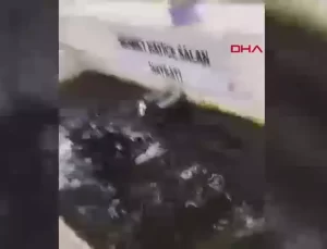 İçki İsteyen Kardeşler, Çobanı Sopayla Dövdü: İlk Duruşmada Tahliye Oldular