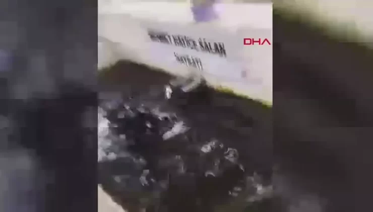 İçki İsteyen Kardeşler, Çobanı Sopayla Dövdü: İlk Duruşmada Tahliye Oldular