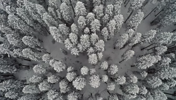 Ilgaz Dağı’nda Kar Manzarası