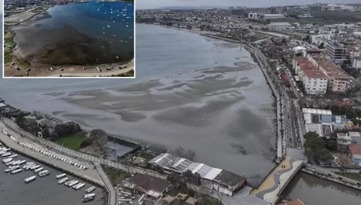 İstanbul ve İzmir’de deniz suyu çekildi, uzmanlardan art arda açıklamalar geldi
