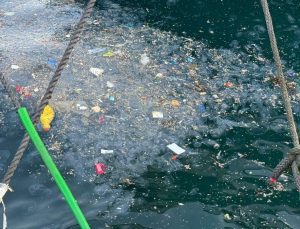 İstanbul’da Beşiktaş kıyısını çöp kapladı: Vatandaşlar reaksiyon gösterdi