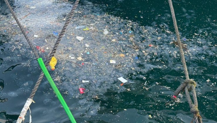 İstanbul’da Beşiktaş kıyısını çöp kapladı: Vatandaşlar reaksiyon gösterdi