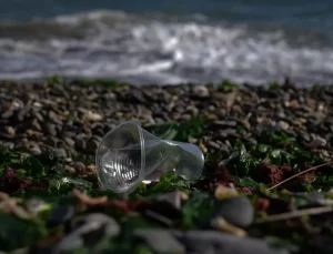 İzmir Körfezi’nde Sürekli Kirlilik Tespiti
