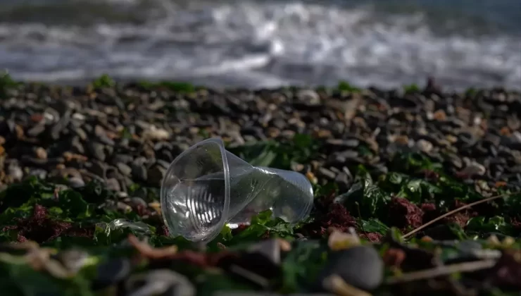 İzmir Körfezi’nde Sürekli Kirlilik Tespiti