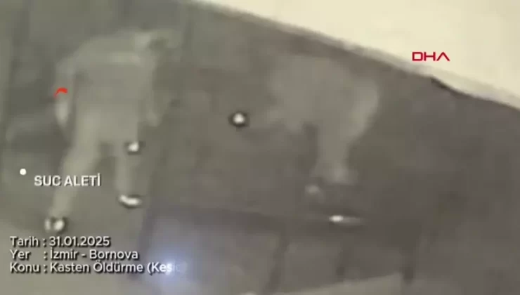 İzmir’de Arkadaşını Bıçakla Öldüren Genç Tutuklandı