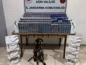 Kaçakçılık Operasyonunda 4 Gözaltı