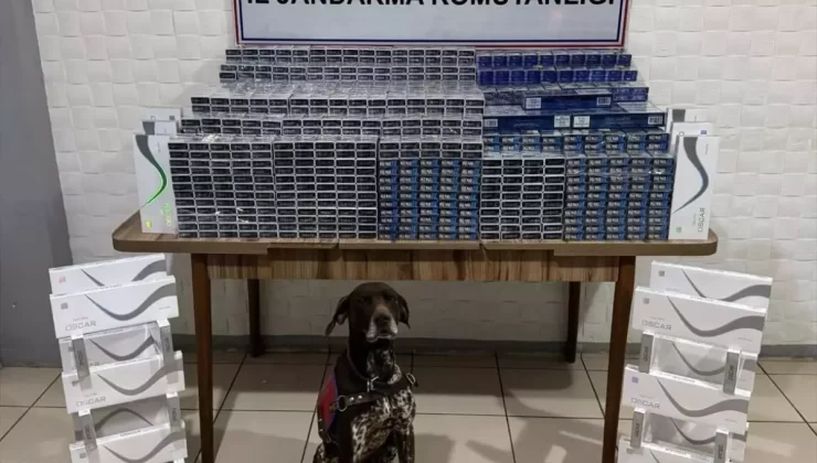 Kaçakçılık Operasyonunda 4 Gözaltı