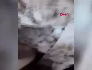 Kahramanmaraş Depreminde Ailesini Kaybeden Beşir Yıldız, Kurtarılma Anını Anlattı