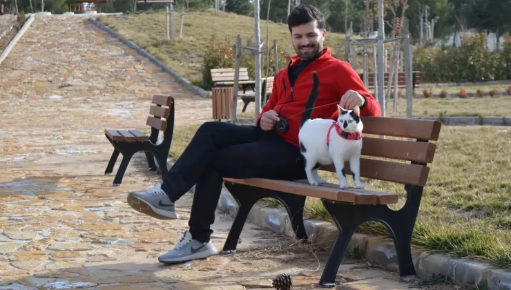 Kahramanmaraş Depremlerinin Ardından ‘Enkaz’ Kedisi