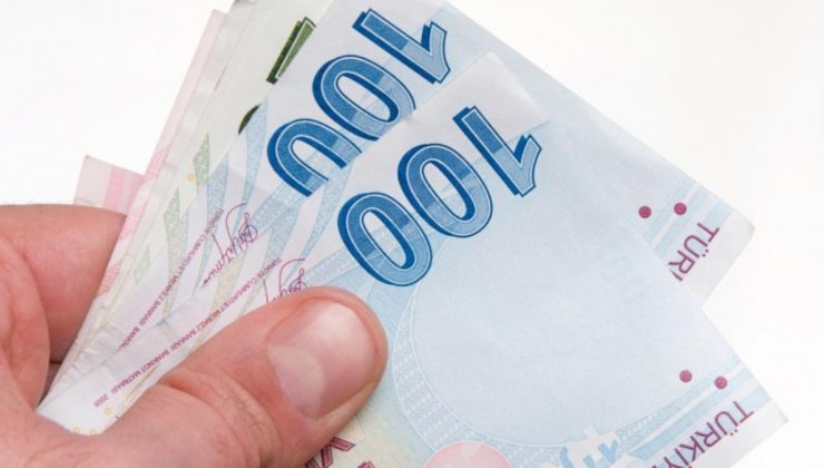 Kamu muhasebatında uygulanacak mali sonlar belirli oldu