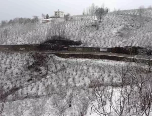 Kar Yağışı Fındık Üreticilerini Rahatlattı