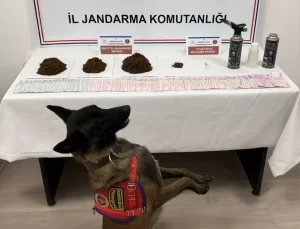 Kastamonu’da Uyuşturucu Operasyonu: 2 Tutuklama