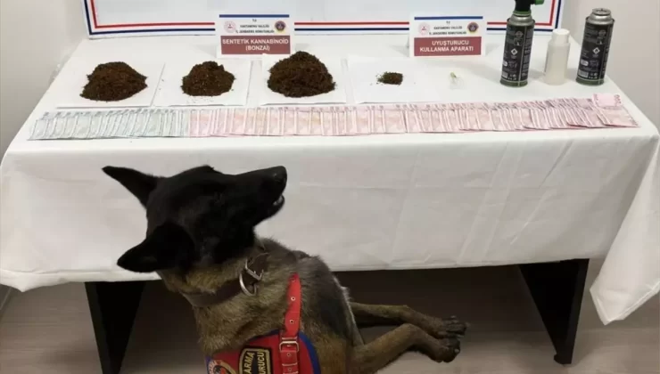 Kastamonu’da Uyuşturucu Operasyonu: 2 Tutuklama