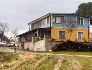 Kaynarca’da Annesini Vuran Şahıs Gözaltında