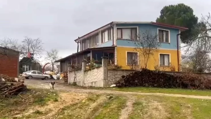 Kaynarca’da Annesini Vuran Şahıs Gözaltında