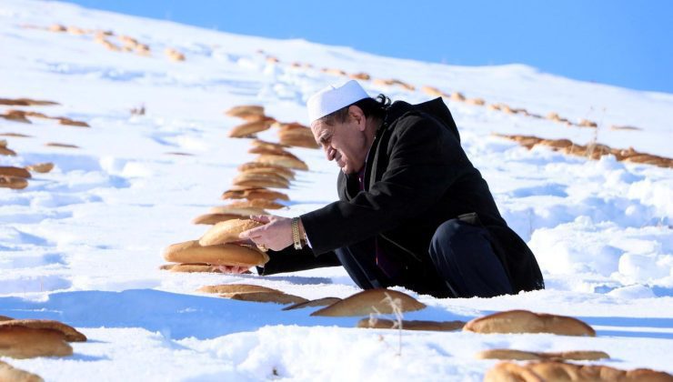 “Kaza bela defolsun” diye tabiata yüzlerce ekmek bıraktılar