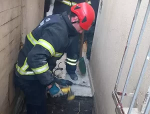 Kedi İtfaiye Ekiplerince Kurtarıldı