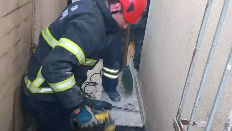 Kedi İtfaiye Ekiplerince Kurtarıldı