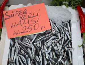 Kilosu 250 liradan satılıyor: Tezgahta yoğun ilgi görüyor