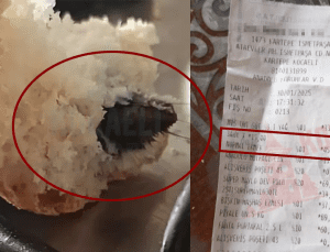 Komşuda mide bulandıran skandal! Kartepe’de marketten alınan ekmeğin içinden fare çıktı!