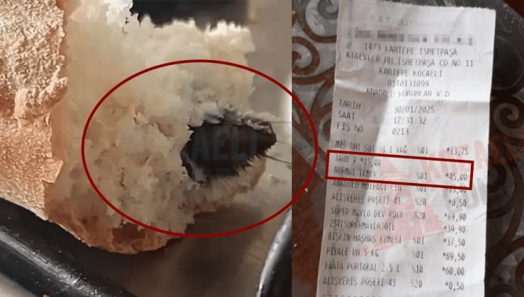 Komşuda mide bulandıran skandal! Kartepe’de marketten alınan ekmeğin içinden fare çıktı!