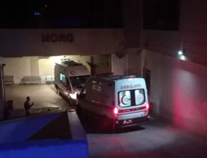 Köpeğe Çarpmamak İçin Manevra Yapan Sürücünün Aracında Kaza: Kemal Petek Hayatını Kaybetti