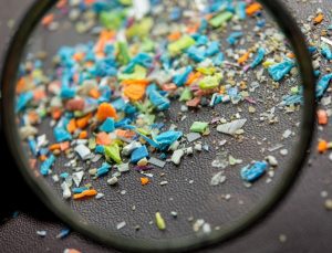 Korkutan araştırma: Mikroplastikler beyinde birikiyor