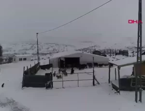 Köyde Hayvancılık: Ticaret Hayatını Geride Bırakan Esnafın Hikayesi