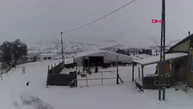 Köyde Hayvancılık: Ticaret Hayatını Geride Bırakan Esnafın Hikayesi