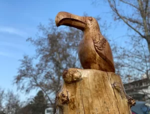 Kuruyan Ağaçlar Heykellere Dönüşüyor