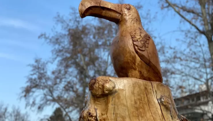 Kuruyan Ağaçlar Heykellere Dönüşüyor