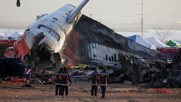 Kuş sürüsü 179 can almıştı: Termal kamera ve radar tedbiri alınacak