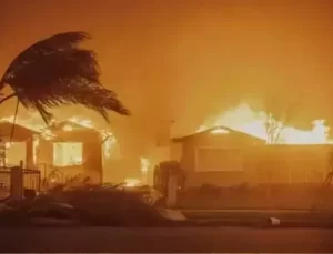 Los Angeles’taki Yangınların Ardından Tehlikeli Atık Temizliği Başladı