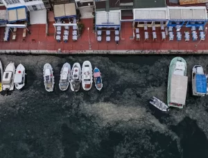 Marmara’da Müsilaj Yeniden Ortaya Çıktı