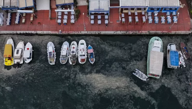 Marmara’da Müsilaj Yeniden Ortaya Çıktı