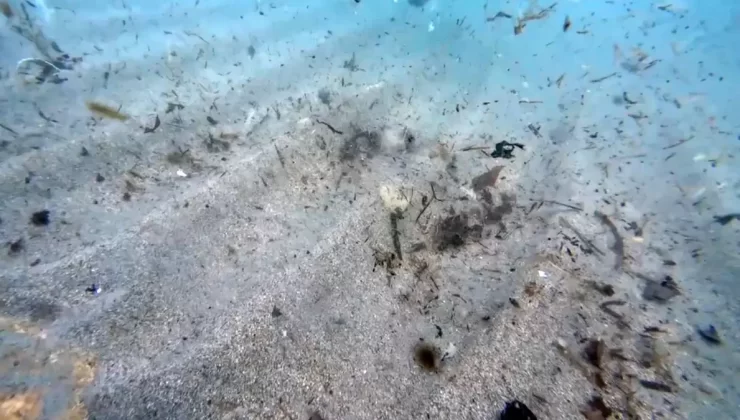 Mikroplastikler Deniz Ekosistemini Tehdit Ediyor