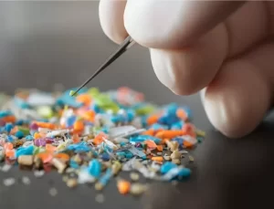 Mikroplastikler İnsan Beyninde Hızla Artıyor